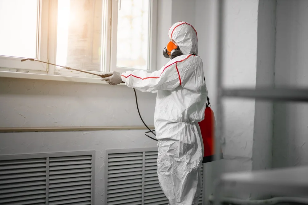 Professional mold remediation services in England, AR